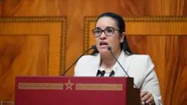 فيطح تدافع عن دستورية إحالة مشروع قانون المالية على البرلمان