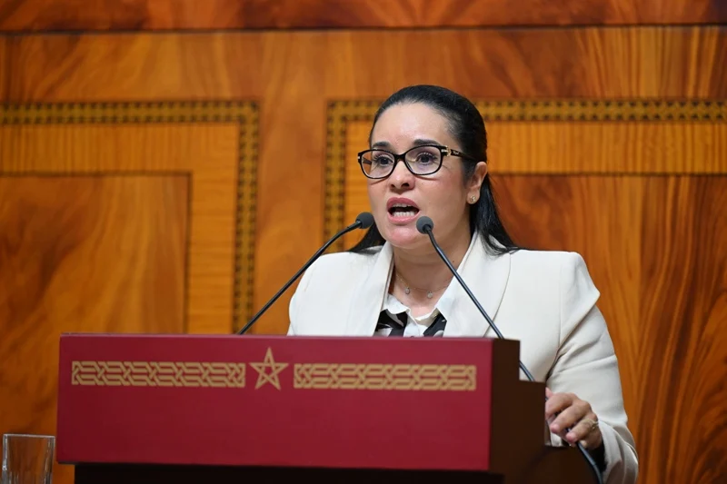 فيطح تدافع عن دستورية إحالة مشروع قانون المالية على البرلمان