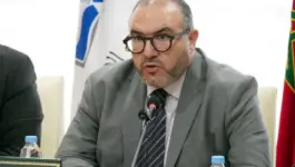 بنموسى بعد الاستقالة.. طمحت لتولى منصب وزاري باسم التقدم والاشتراكية