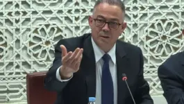 لقجع: لن نقبل هيمنة المصحات الخاصة ورفع ضرائب المحروقات تطبيق للقانون