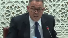 لقجع: الحوار الاجتماعي هو المكمل لإصلاح الضريبة على الدخل